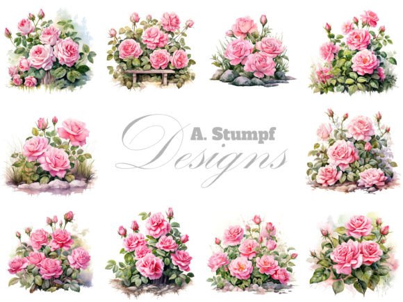 Download Pink Roses Clipart Set Watercolor Flower - Roses Collection